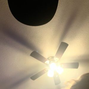 Meet your Posher, Cynthia